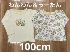 ワンワン うーたん いないいないばあっ！ 100cm 2点セット まとめ売り
