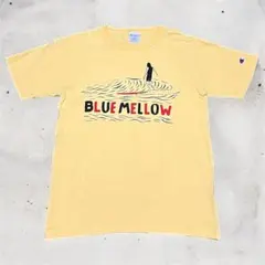 美品 usa製 チャンピオン T1011 染み込みプリント サーフ Tシャツ