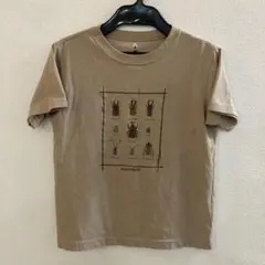 【mont-bell】 子ども用半袖T 140cm