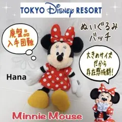 廃盤 ディズニーリゾート限定 ミニーちゃん 水玉 ぬいぐるみ キーホルダー
