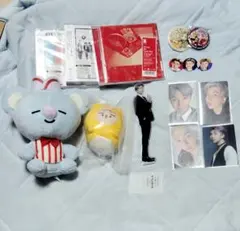 bts RM　バンタン ナムジュン　マスター　ぬいぐるみ　アクスタ　CD　トレカ