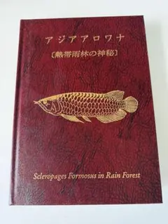 プラダパッドⅡ 豪華版P100超 貴重 アジアアロワナ - メルカリ