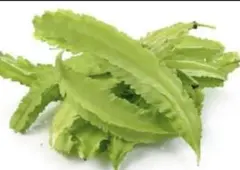 セロニー様 リクエスト 2点 まとめ商品