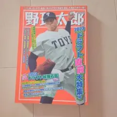 Item thumbnail for item bb7536a4-0e8b-4b52-98a8-90d0fe4e9698