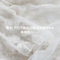 あず(プロフ確認必須)次回発送6/6様専用ページ