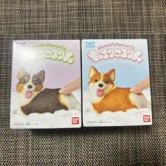 もっちりころりん　おいぬ　ぷりぷりコーギー　レッドホワイト　トライカラー