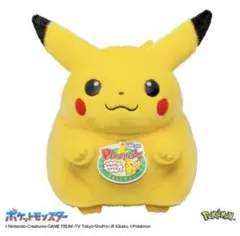 ポケットモンスター ポケモン30周年記念 おかえり！ピカチュウ1/1