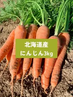 高知県産朝採り人参、即購入OK - メルカリ