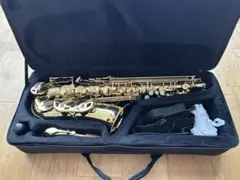 2025年最新】mavisサックスの人気アイテム - メルカリ