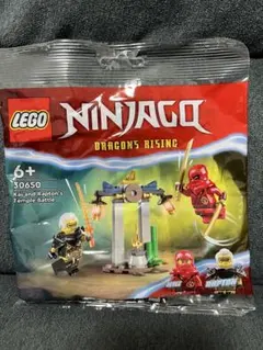 LEGO Ninjago 30650 Temple Battle