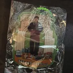 NAOTO　チャームキーホルダー　実写　HONEST TOWN 2026 緑