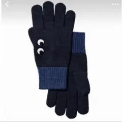 アニヤハインドマーチ 手袋