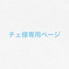 専用ページ