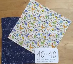 恐竜　銀河　40×40　ランチョンマット　裏地なし　2枚　ハンドメイド