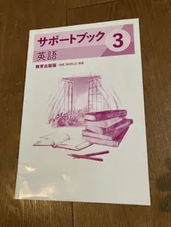 kaz様 リクエスト 2点 まとめ商品