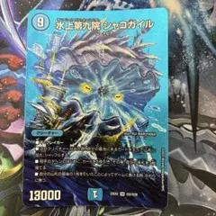 水上第九院 シャコガイル