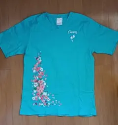 Curves ターコイズ VネックTシャツ