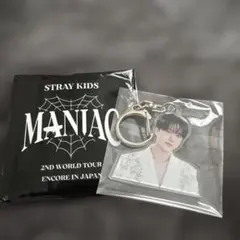 straykids チャンビン ランダムアクリルキーホルダー