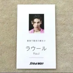 Snow Man ラウール デンホリ Dangerholic 名刺カード 1枚①