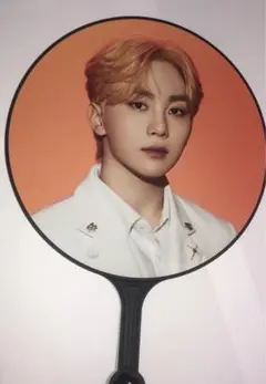 SEVENTEEN セブチ スングァン うちわBE THE SUN