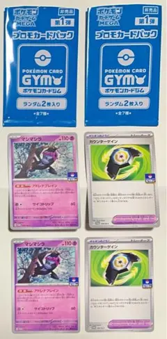 ポケモンカード　「プロモカードパック第1弾」2枚入り