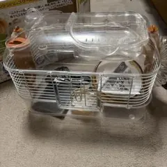 Item thumbnail for item e6d98e92-5fb0-458e-a91a-fbe8948b29d3