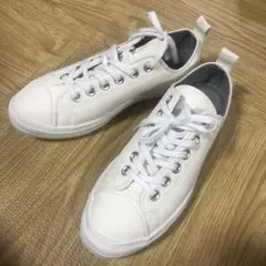 Item thumbnail for item f118e009-9807-4eae-b590-bd2c62f6954e