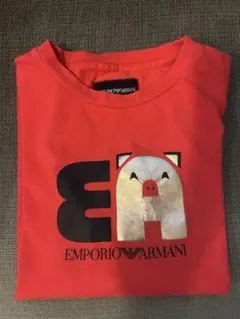 EMPORIO ARMANI ロンT
