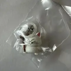 ドラゴンボール めじるしアクセサリー カリン様②