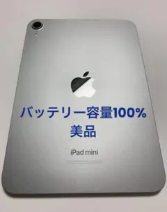 Apple iPad mini (A17 Pro) 128GB スペースグレー