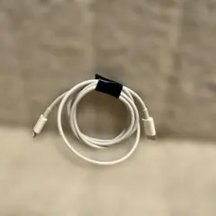 【apple純正】iPhone ライトニングtoタイプC ケーブル