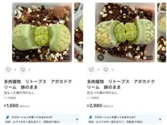 専用❤️同梱-50円はる様 リクエスト 2点 まとめ商品