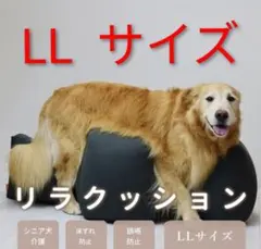 Item thumbnail for item c60364b8-b38d-4494-876d-97ee7d4e7a81