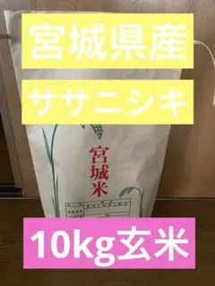 令和7年産 宮城県産 ササニシキ 玄米 10kg 送料無料のサムネイル