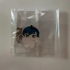 ブルーロック ちびぐるみフェス お写真キーホルダー アニマル着ぐるみ 糸師凛