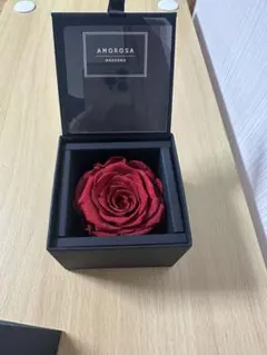 AMOROSA MODERNO プリザーブドローズ ギフト ダイヤモンドローズ