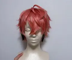 にじさんじ 赤城ウェン ウィッグ セット済 - メルカリ