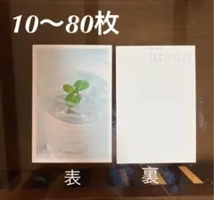 Item thumbnail for item f07510c6-e5f2-4581-9968-c27d6d08ba91