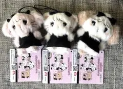 mikko characters マスコット ムース　スフレ　キャミー 3種