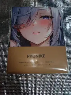 PRONIKE バスタオル地タペストリー 021-7 申鶴