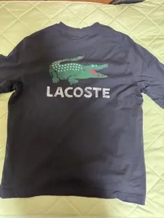 LACOSTE／クラックワニロゴTシャツ Mサイズ