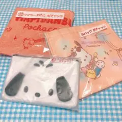 はぴだんぶい　ポチャッコ　サンリオ当たりくじ