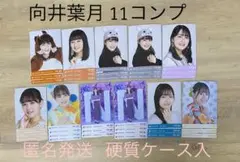 乃木坂46 生写真 向井葉月 コンプ まとめ売り レアポ 希少 モバイル