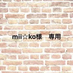 mii☆ko様 リクエスト 2点 まとめ商品