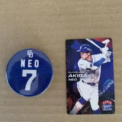 Item thumbnail for item 4c458792-503c-49b1-b771-f3f240ec4074