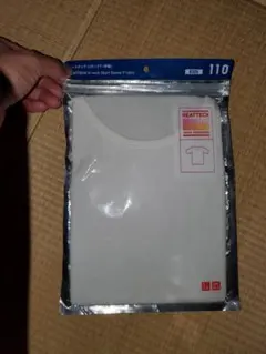 Item thumbnail for item c22f811d-ddef-49f5-b850-86d11794f276