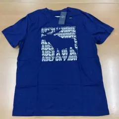 値下げAbercrombie & Fitch キッズTシャツ 13/14のサムネイル