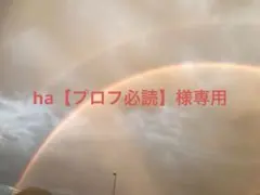 ha【プロフ必読】様専用ページ