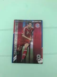 ハビ・マルティネス　パニーニフットボールリーグ