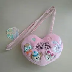 ディズニーシー　ダッフィー　ハートウォーミングデイズ　コインケース　パスケース